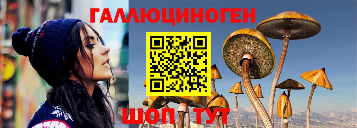 Углич  как найти закладки  Вход с VPN  Галлюциногенные грибы ЛСД 